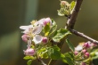 DSC_7440_1920