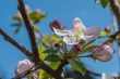 DSC_7444_1920