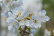 DSC_7448_1920