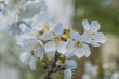 DSC_7449_1920