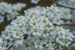 DSC_7456_1920