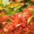 DSC_7428_1920