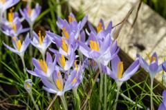 Frühling 2025