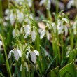 DSC_2609_2400
