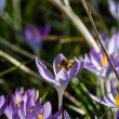 DSC_2633_2400