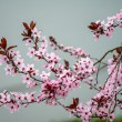 DSC_2659_2400