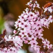 DSC_2660_2400