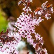 DSC_2661_2400