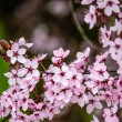 DSC_2662_2400
