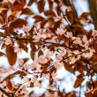DSC_2672_2400