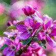 DSC_2680_2400