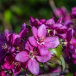 DSC_2687_2400