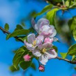 DSC_2694_2400