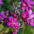 DSC_2713_2400