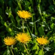 DSC_2716_2400