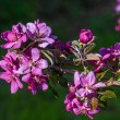 DSC_2720_2400