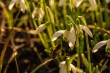 DSC_0663_1920