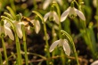 DSC_0668_1920