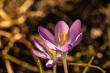 DSC_0673_1920