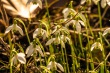 DSC_0677_1920