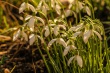 DSC_0678_1920
