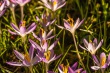 DSC_0685_1920