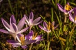 DSC_0689_1920