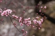 DSC_0891_1920
