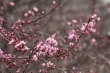 DSC_0895_1920