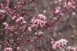 DSC_0896_1920