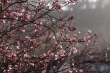 DSC_0897_1920