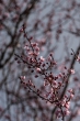 DSC_0900_1920