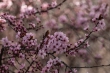 DSC_0902_1920
