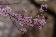 DSC_0904_1920