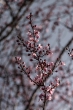 DSC_0907_1920