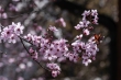 DSC_0914_1920