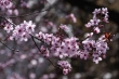 DSC_0915_1920