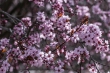 DSC_0916_1920