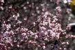DSC_0920_1920