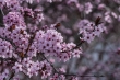 DSC_0927_1920