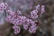 DSC_0930_1920