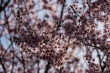 DSC_0947_1920