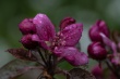 DSC_1037_1920