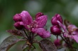 DSC_1039_1920