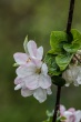 DSC_1047_1920