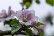 DSC_1049_1920