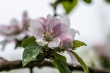 DSC_1051_1920