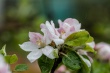 DSC_1057_1920
