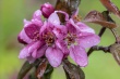 DSC_1062_1920
