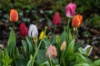 DSC_1063_1920